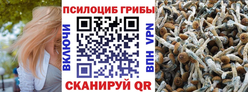 Купить где  Вилючинск  Галлюциногенные грибы MAGIC MUSHROOMS 